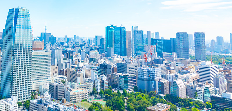 社会への取り組み
