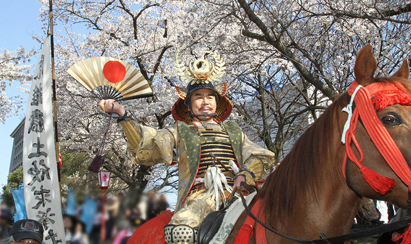 岡崎市 桜まつり